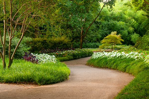 Gravel path winds through outdoor scene